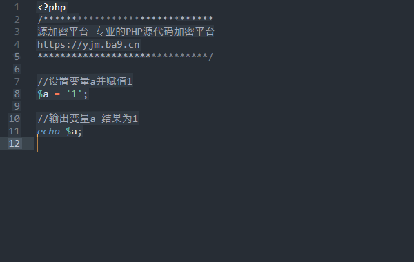 PHP代码加密前示例